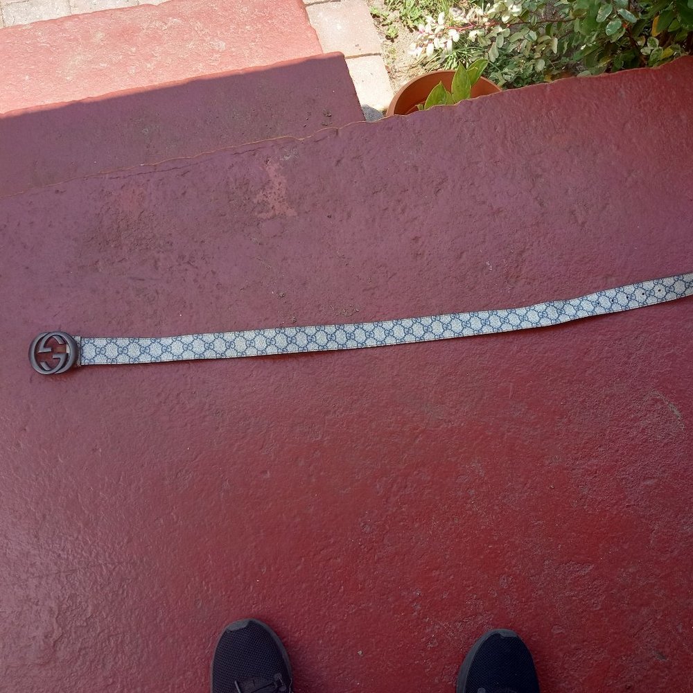 Gucci belt